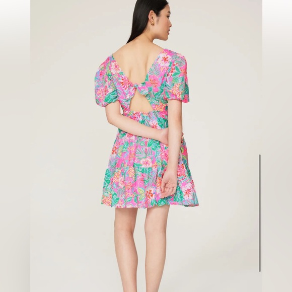 Lilly Pulitzer Nalani Short Sleeve Cotton Dress - Journey to the Jungle - Size 8 - Picture 3 of 9